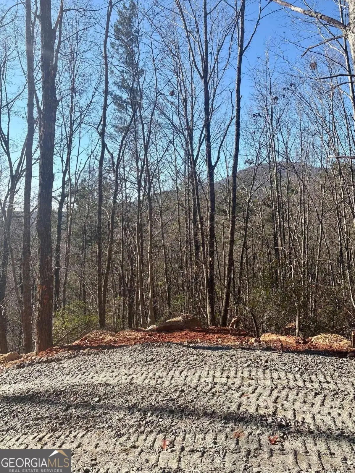 28 B Sal Mountain Way, Sautee Nacoochee, GA 30571 - #1