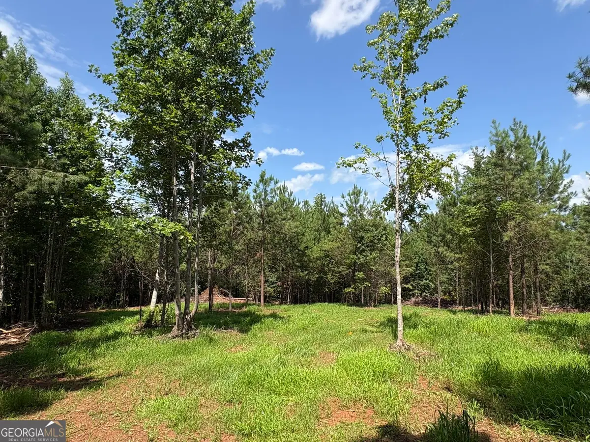 15.62 ACRES Carlisle Gap Road, Woodland, GA 31836 - #1