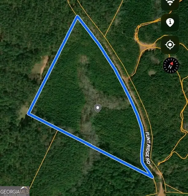 15.62 ACRES Carlisle Gap Road, Woodland, GA 31836 - #2