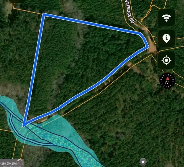 17 ACRES Carlisle Gap Road, Woodland, GA 31836 - #2