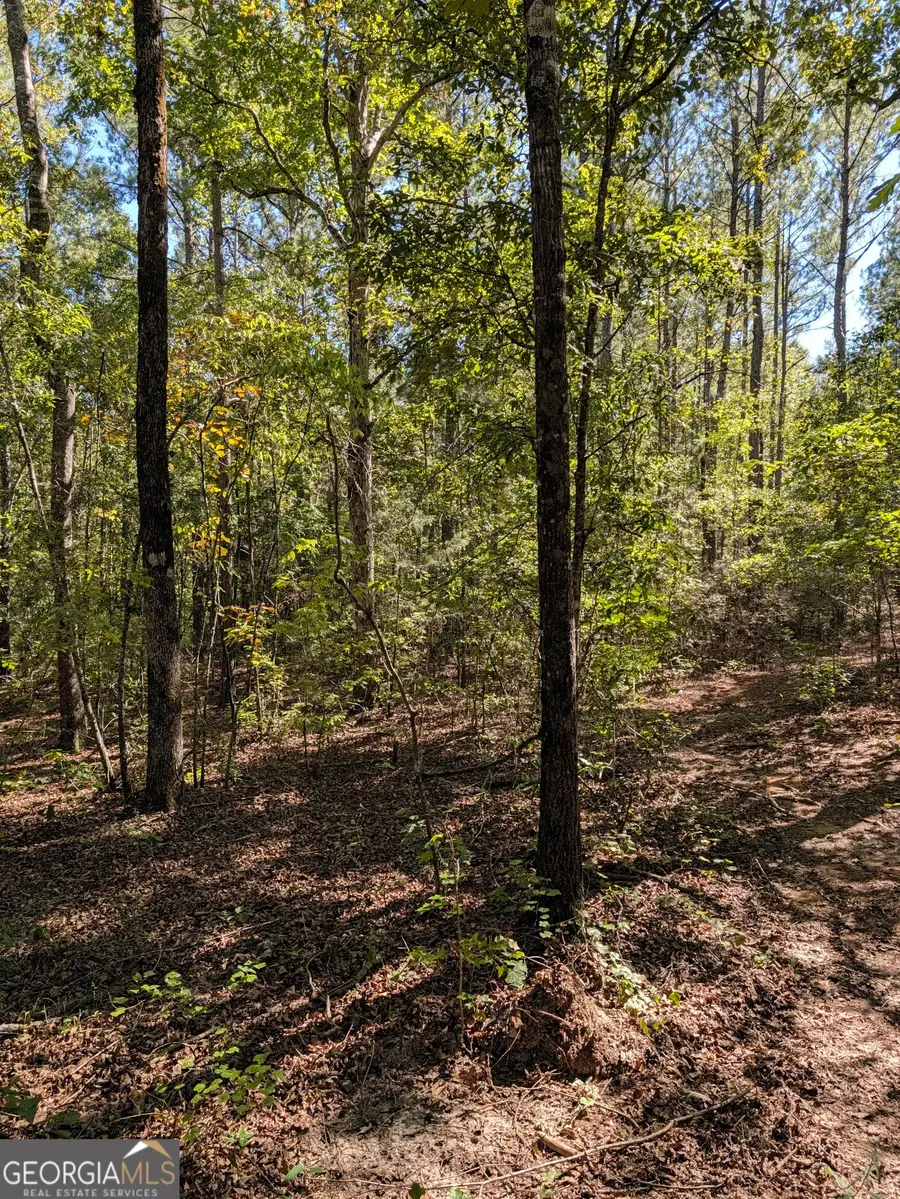 0 CHAPPELL MILL Chappell Mill Road, Milner, GA 30257 - #3