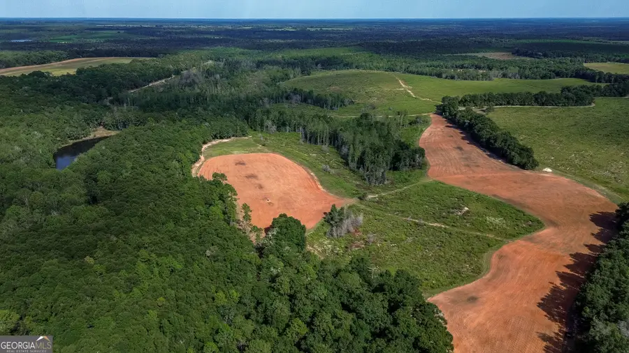1199 Rural Hill Church Road, Preston, GA 31824 - #3