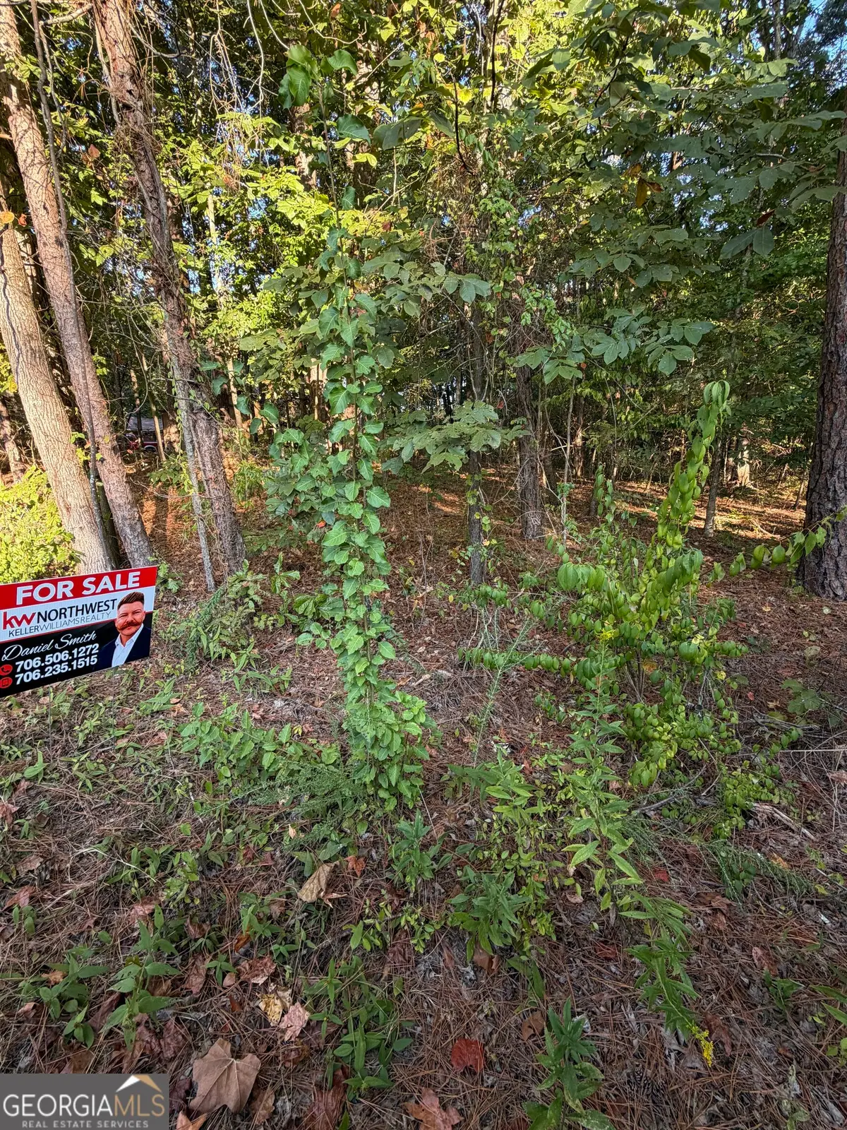LOT 20 Charleston Drive, Rome, GA 30165 - #1