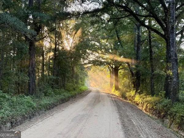0 Old Moore Road #1, Portal, GA 30450