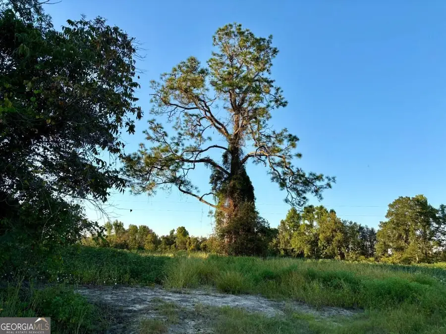 0 Old Moore Road #1, Portal, GA 30450 - #3