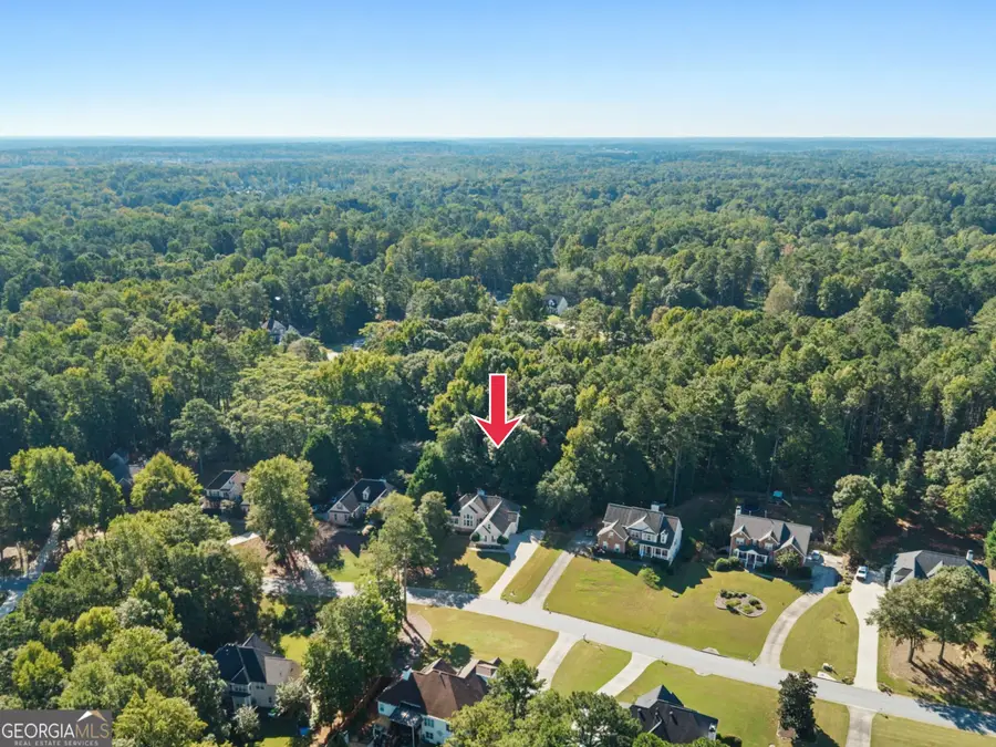 245 Ryans Court, Sharpsburg, GA 30277 - #3