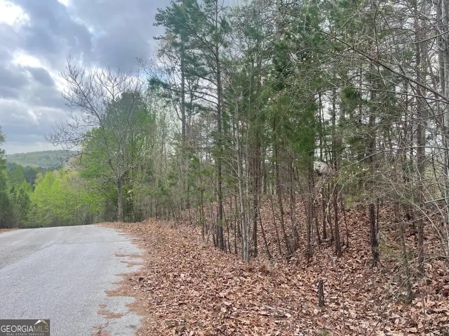 0 Planters Pointe Drive, Banks, GA 30511 - #2