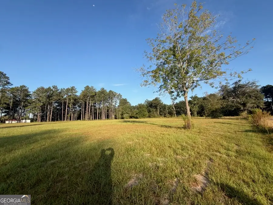 2029 Memphis Road, Metter, GA 30439 - #2