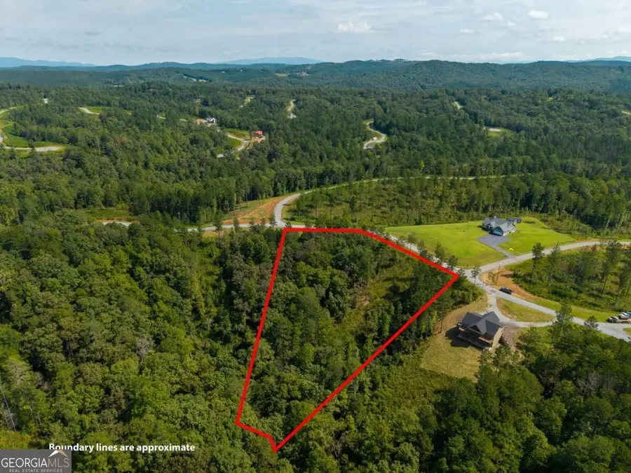 LT 141 Blalock Mountain Road, Talking Rock, GA 30175 - #2