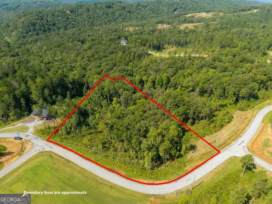 LT 141 Blalock Mountain Road, Talking Rock, GA 30175 - #3