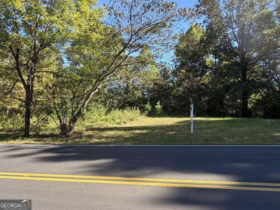 11.91 AC Hardscrabble Road, Mineral Bluff, GA 30559 - #2