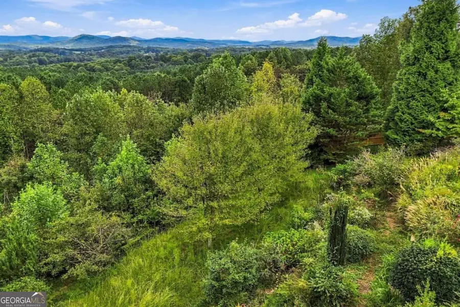 100 Foxpaw Leaf Court, Ellijay, GA 30536 - #3