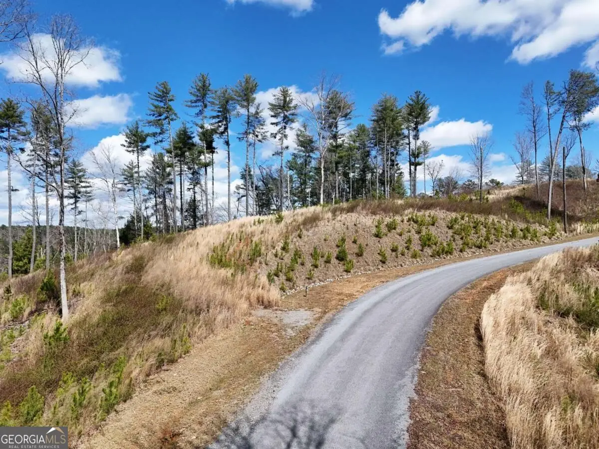 LOT 253 High River Crossing, Ellijay, GA 30540 - #1
