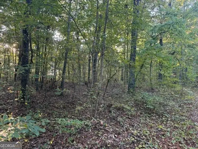0 Owensby Lane, Adairsville, GA 30103 - #3