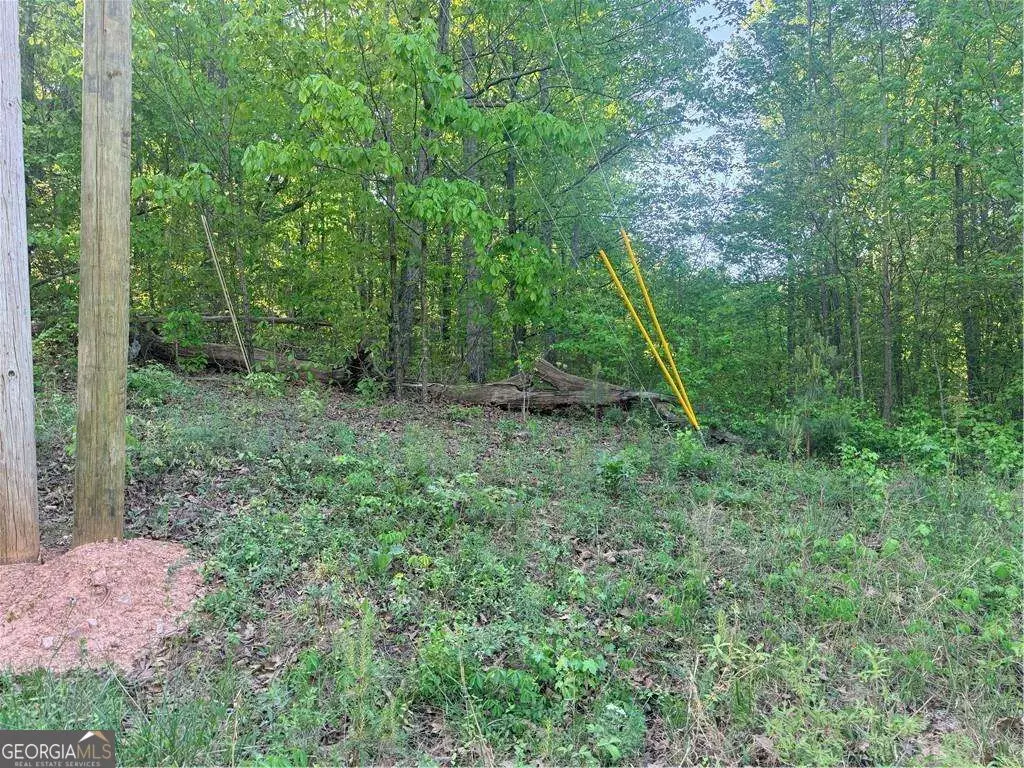 0 Mountain View Circle, Bremen, GA 30110 - #1
