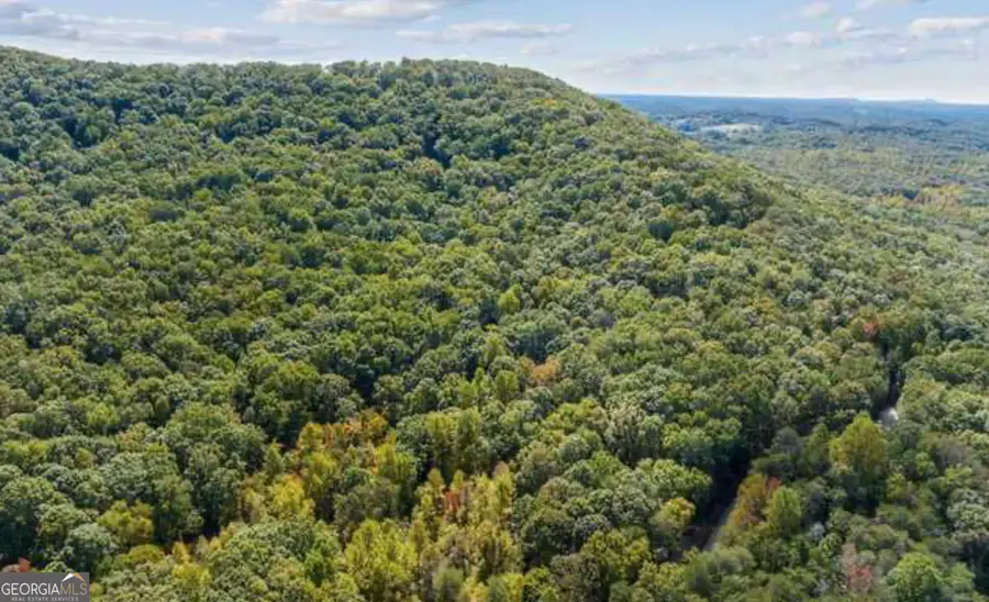 LOT 24 Luther Palmer Road, Cleveland, GA 30528 - #3