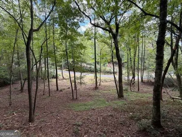 133 Seneca Drive, Ellijay, GA 30540