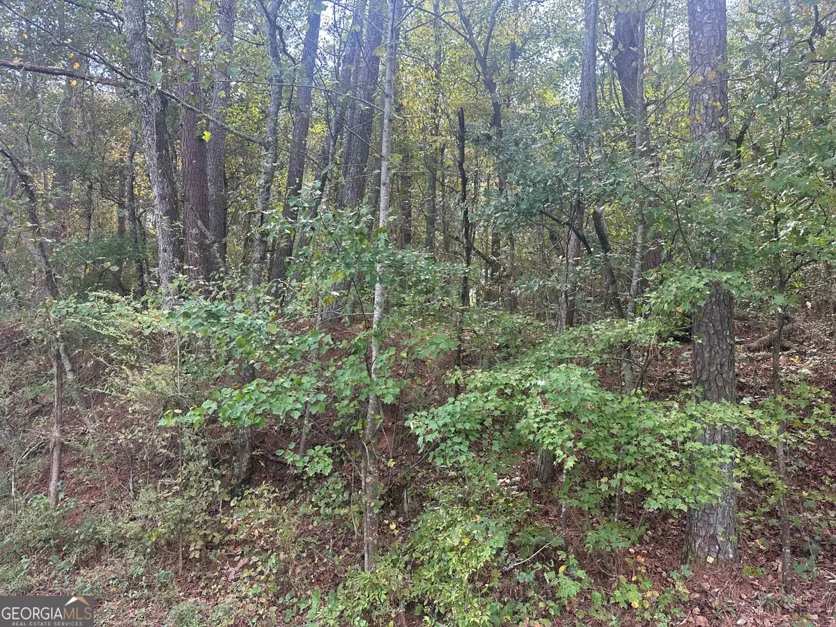 0 Carver Mill Road, Talking Rock, GA 30175 - #1