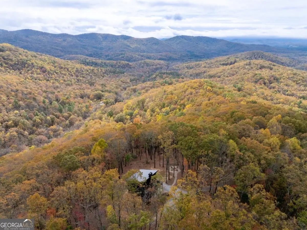1250 Lost Forest Road, Ellijay, GA 30536 - #1