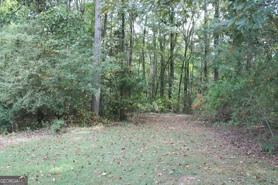 436 Twinwood Street, Thomaston, GA 30286 - #3