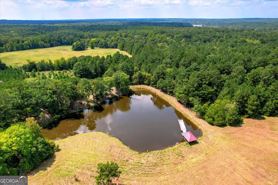 2207 Mccormick Highway, Lincolnton, GA 30817 - #2
