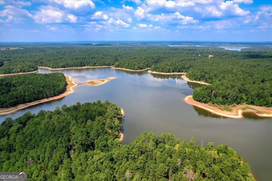 2207 Mccormick Highway, Lincolnton, GA 30817 - #3