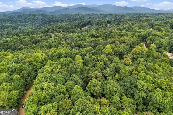 0 Lakeland Drive #002, Ellijay, GA 30540