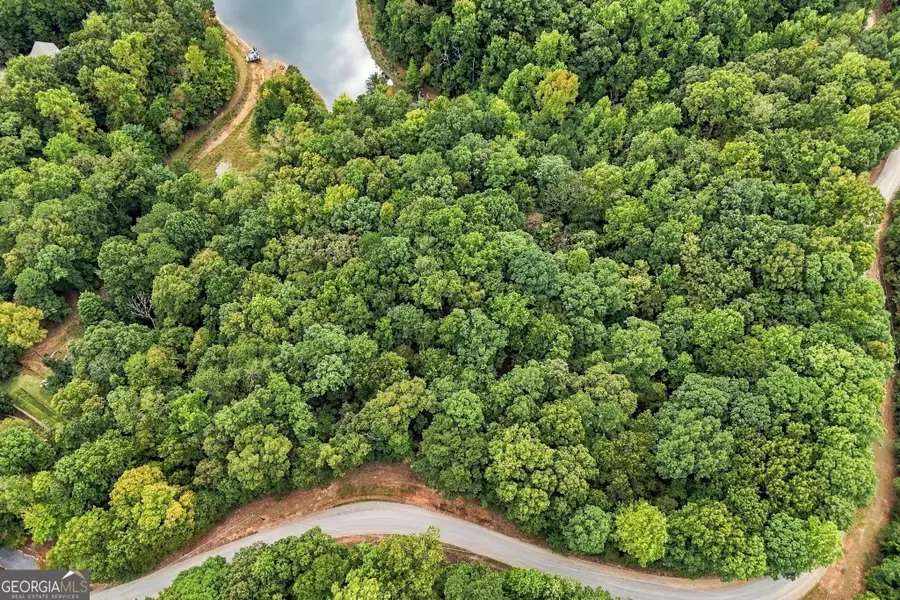 0 Lakeland Drive #002, Ellijay, GA 30540 - #2