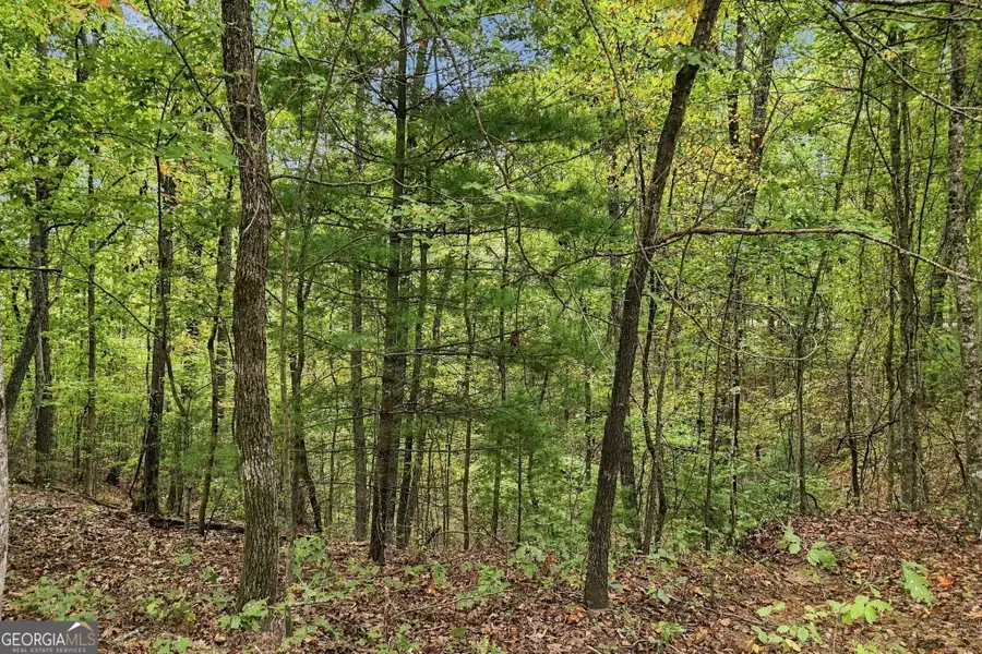 0 Lakeland Drive #002, Ellijay, GA 30540 - #3