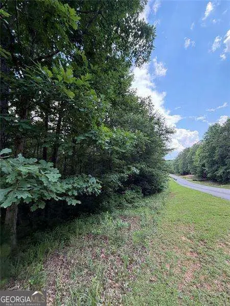 0 Serenity, Cataula, GA 31804 - #3