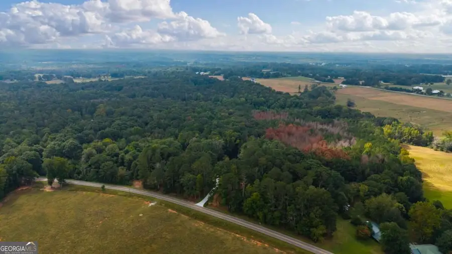 1810 Sandy Flat Road, Bowdon, GA 30108 - #3