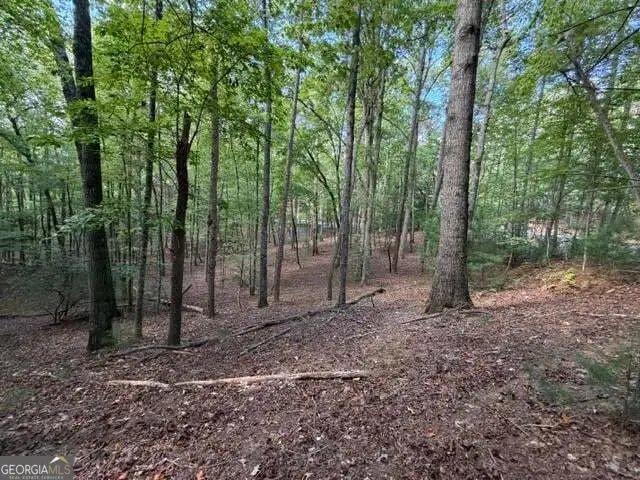 556 Satsuma Court S, Ellijay, GA 30540 - #2