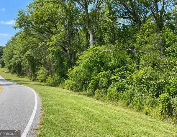 0 Cannonville Road, Abbeville, GA 31001