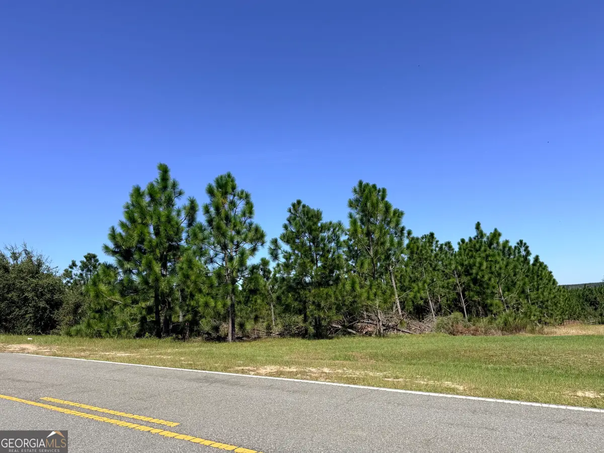 0 Altamaha Road, Hazlehurst, GA 31539 - #1