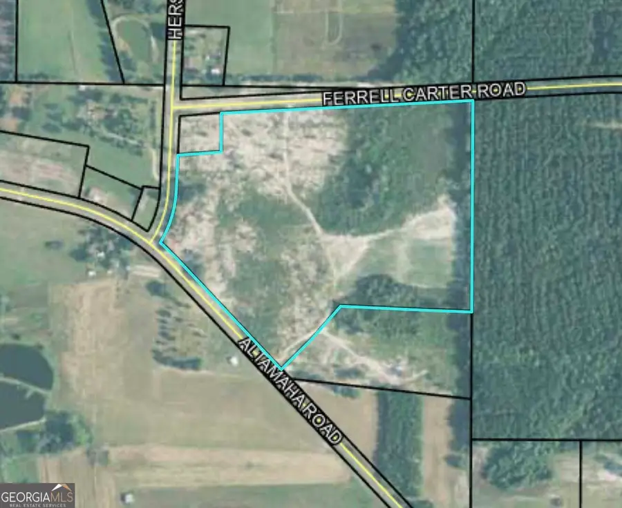 0 Altamaha Road, Hazlehurst, GA 31539 - #2