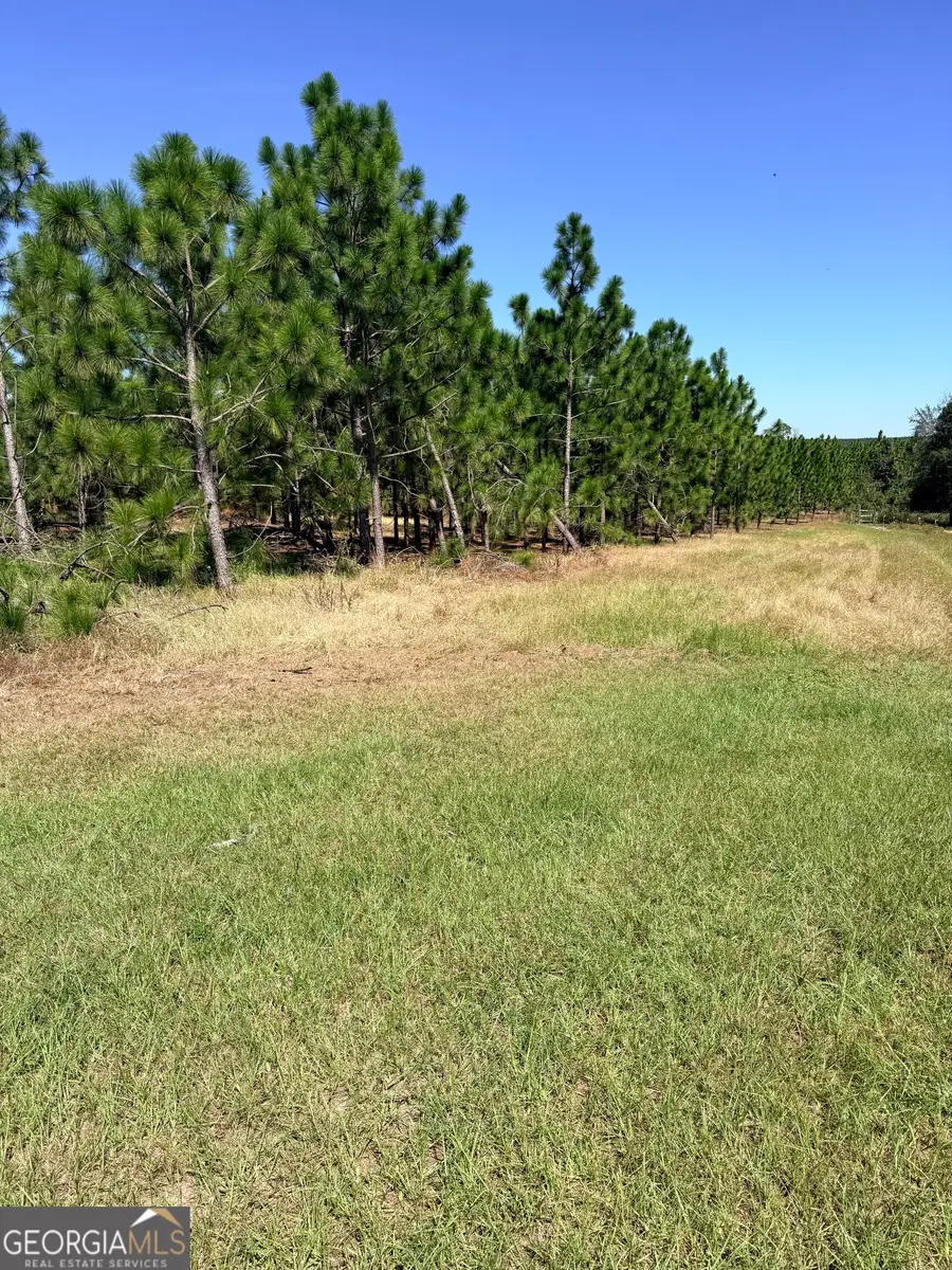 0 Altamaha Road, Hazlehurst, GA 31539 - #3