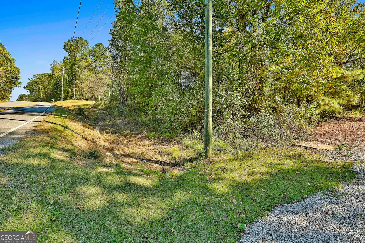LOT 2 Raymond Hill Road, Newnan, GA 30265 - #1