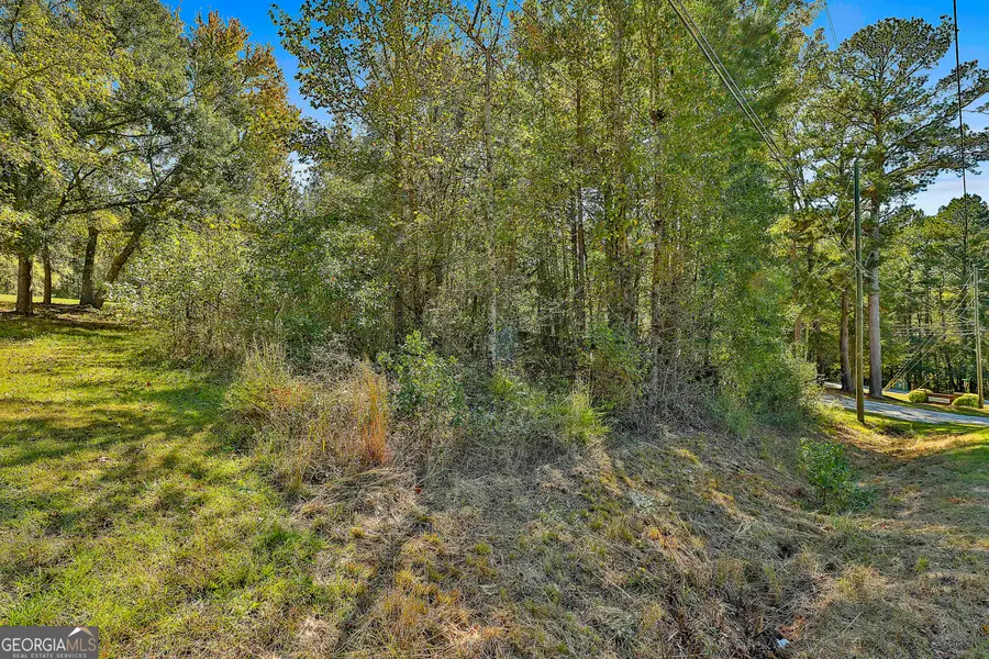 LOT 2 Raymond Hill Road, Newnan, GA 30265 - #3