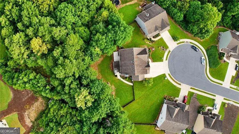 99 White Magnolia Way, Dallas, GA 30132 - #3