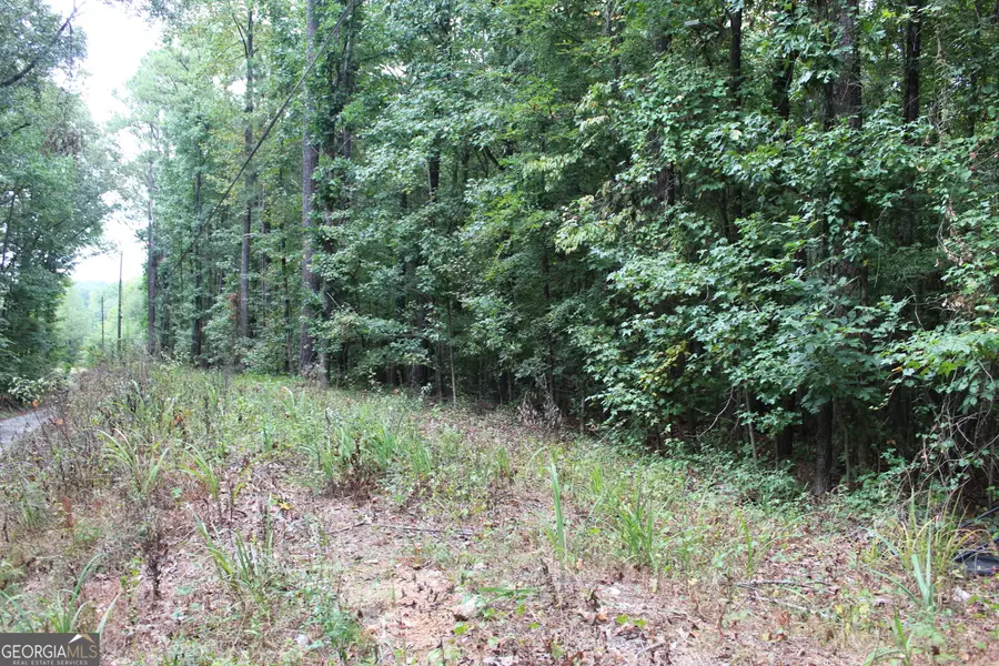 433 N Deshon Road, Stone Mountain, GA 30087 - #3
