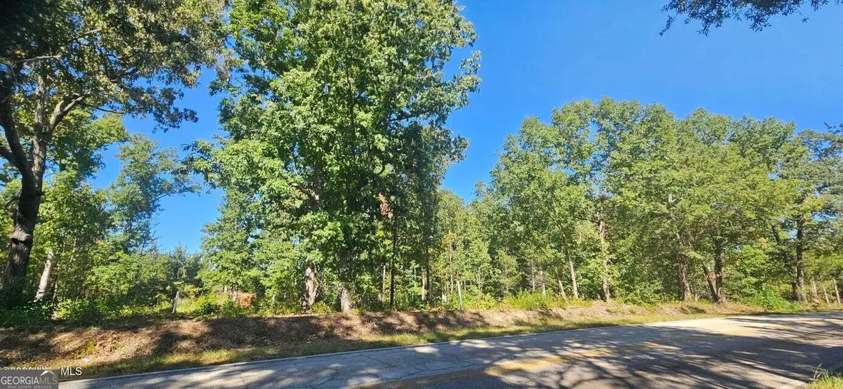 TRACT 2 Bethany Church Road, Lincolnton, GA 30817 - #1