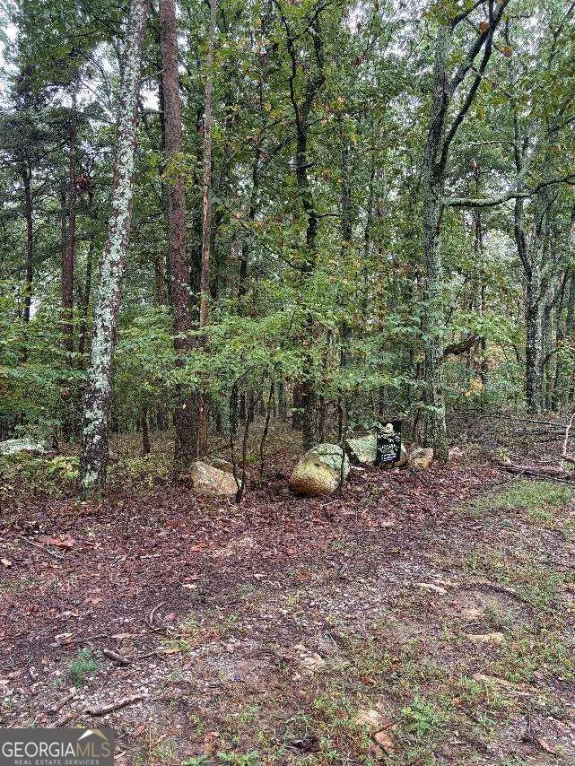 0 Quartz Court, Jasper, GA 30143 - #2