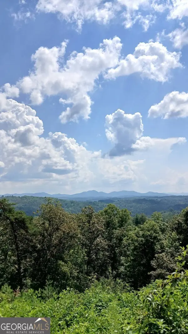 LOT 23 Mountain Laurel Ridge, MIneral Bluff, GA 30559