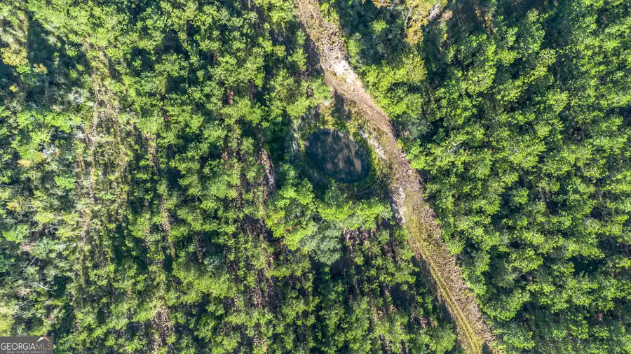0 Us Highway 301, Claxton, GA 30417 - #2