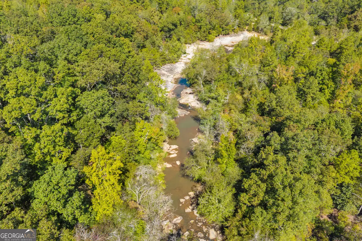 0 King Hall & Hwy 172, Bowman, GA 30624 - #1