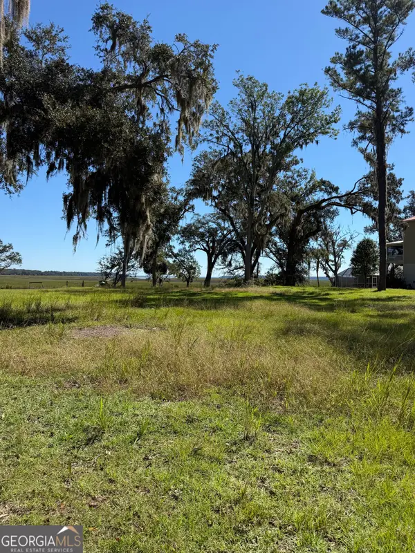 LOT 17 Fc Randall Dr Ne, Townsend, GA 31331