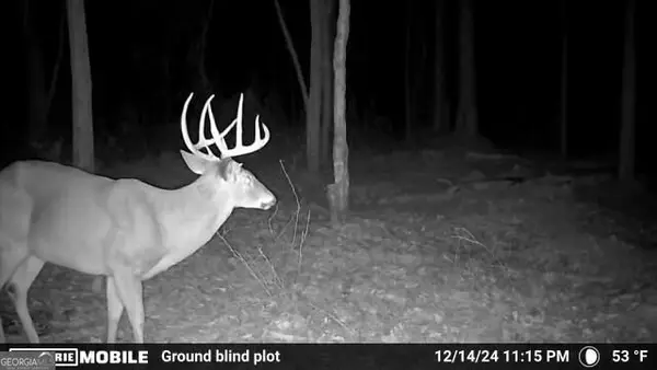 0 Sam Bradley, Americus, GA 31709