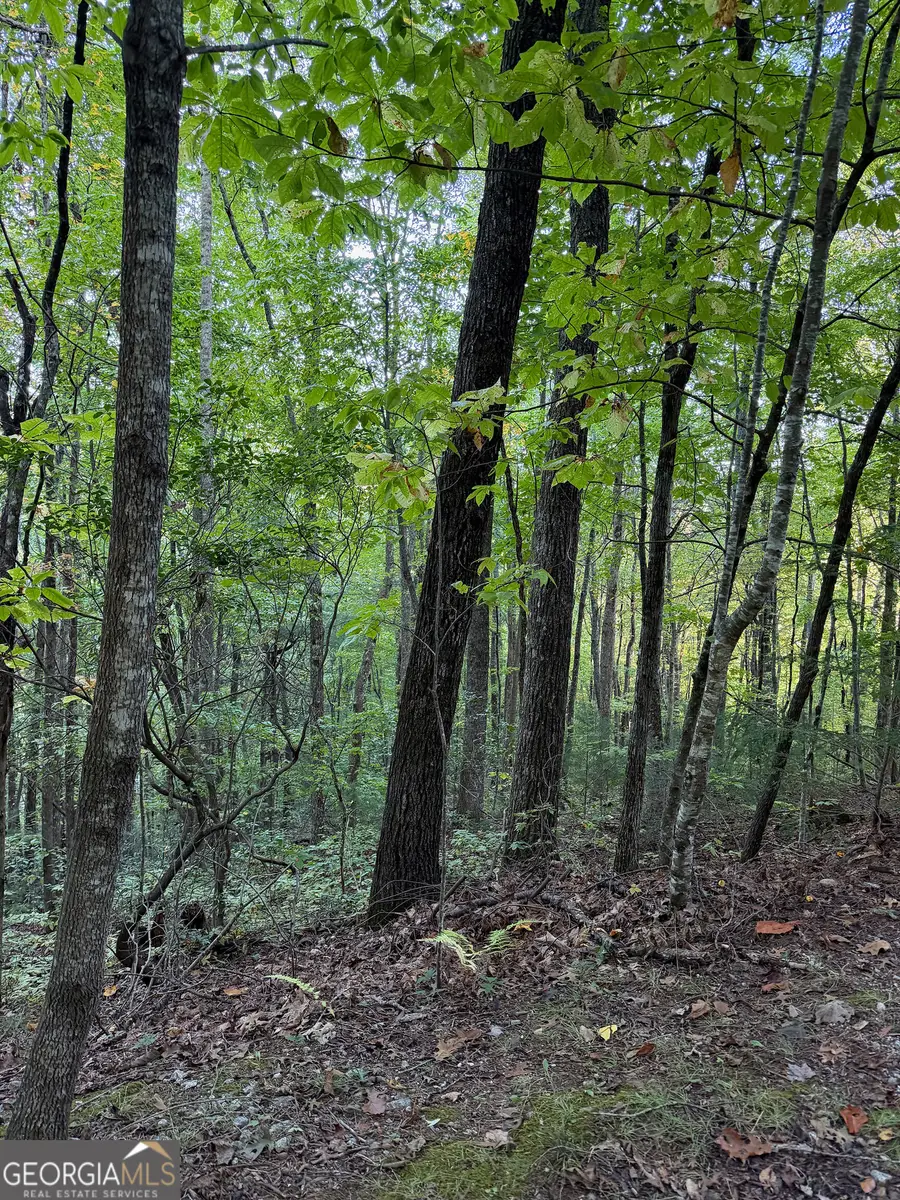 0 Round Top #43 B, Clayton, GA 30525 - #3