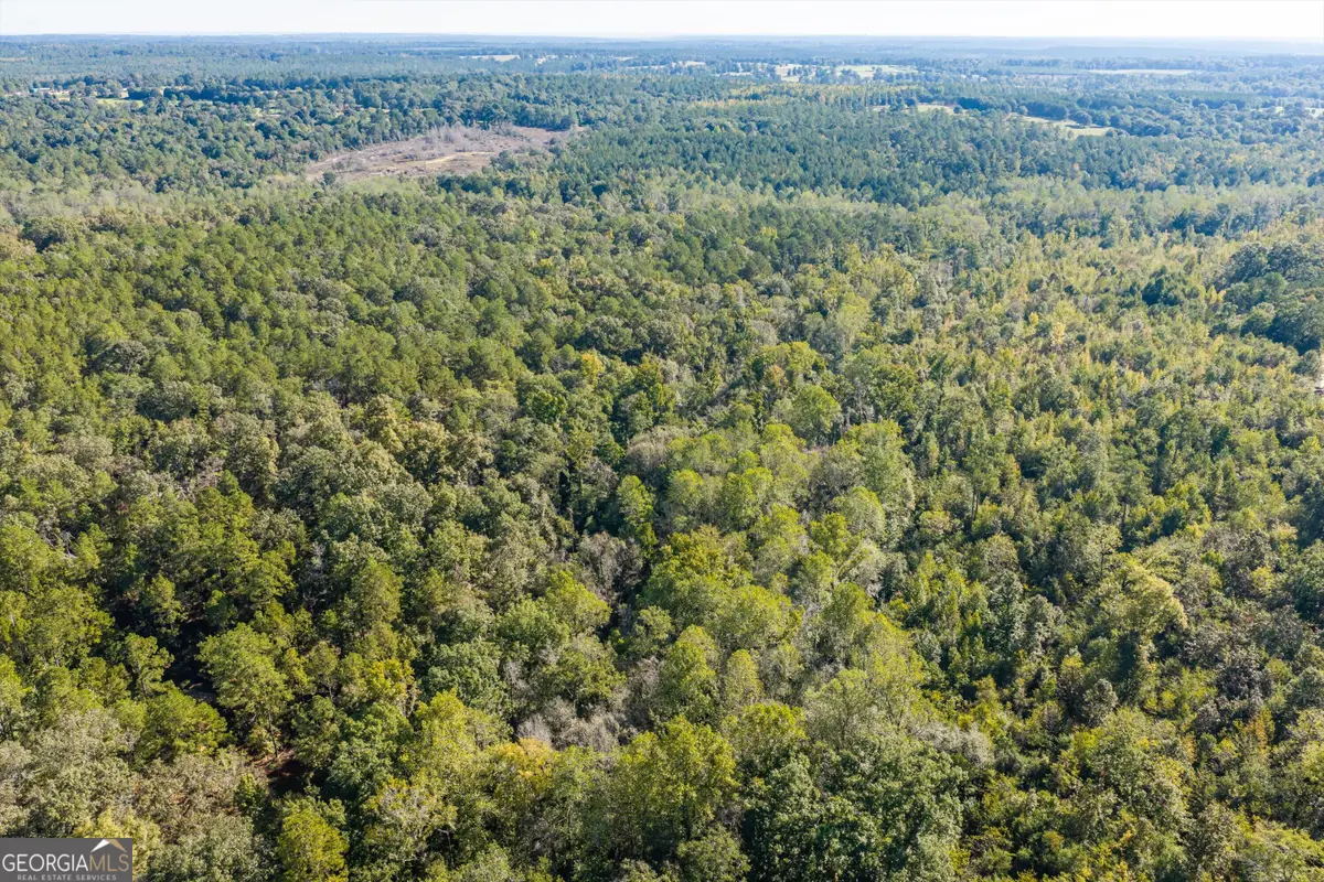 0 Corley Road, Hephzibah, GA 30815 - #1