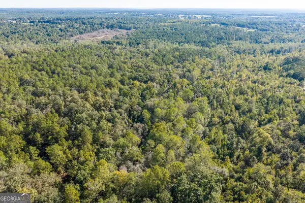 0 Corley Road, Hephzibah, GA 30815